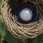 Natura w nowym świetle – jak podkreślić żywą architekturę ogrodu