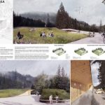 Z szacunku do natury